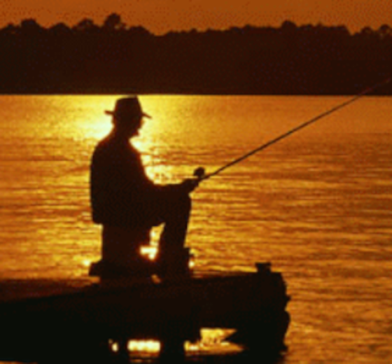 Angler